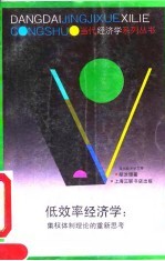 低效率经济学 集权体制理论的重新思考
