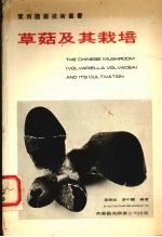 草菇及其栽培