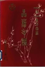 晶峯手册 PMOS与CMOS集成电路