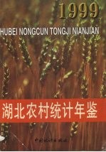湖北农村统计年鉴 1999