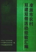 凌源市农村双建双带活动经验汇编