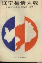 辽宁县情大观