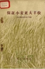 保证小麦更大丰收