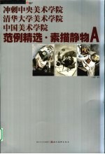 冲刺中央美术学院清华大学美术学院中国美术学院 范例精选 素描静物 A