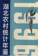 湖北农村统计年鉴 1996