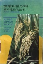 武陵山区水稻 高产途径及技术