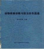 动物疾病诊断与防治彩色图谱