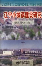 辽宁小城镇建设研究