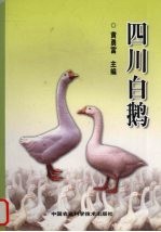 四川白鹅