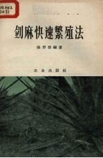 剑麻快速繁殖法