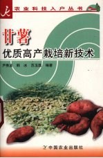 甘薯优质高产栽培新技术