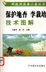 保护地杏李栽培技术图解