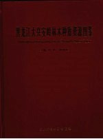 黑龙江大兴安岭林木种质资源图鉴