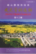 峨山彝族自治县文史资料选辑 第13辑