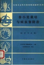 春小麦栽培与病虫害防治