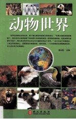 动物世界