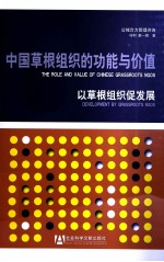 中国草根组织的功能与价值 以草根组织促发展