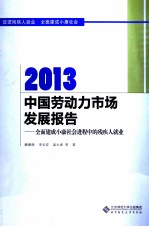 当代中国发展报告 2013中国劳动力市场发展报告