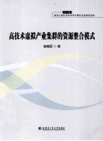 高技术虚拟产业集群的资源整合模式