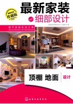 最新家装细部设计 顶棚地面设计