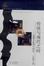 比较文学与文艺学丛书 传统与现代之间 成都文化符号研究