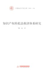 中国知识产权文库 知识产权的司法救济体系研究