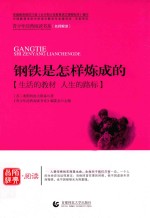 钢铁是怎样炼成的 生活的教材 人生的路标