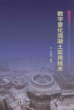 数字量化混凝土实用技术