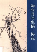 陶冷月写生稿 梅花