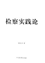 检察实践论 下