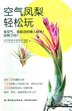 空气凤梨轻松玩