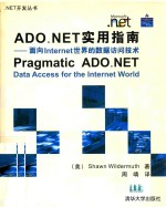 ADO.NET实用指南 面向Internet世界的数据访问技术