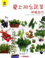 趣味园艺 爱上阳台蔬菜种植技巧