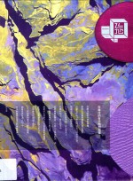 飞地 第13辑 腾挪与戏谑