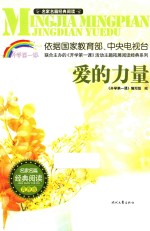 爱的力量 青春版