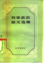 刑事诉讼论文选集