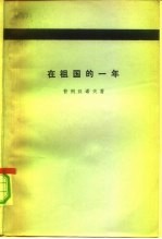在祖国的一年 1917-1918年言论文集