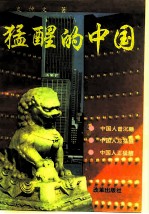 猛醒的中国 关于中国经济的哲学