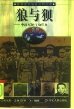 狼与狈 中统军统行动档案