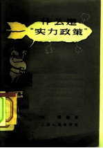 什么是“实力政策”