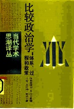 比较政治学:体系、过程和政策