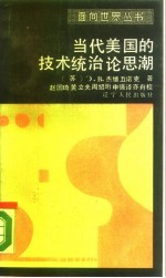 当代美国的技术流治论思潮