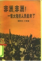 非洲,非洲!一个大陆的人民起来了