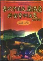 当代中国反腐倡廉典型案例通览