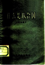 什么是联合国