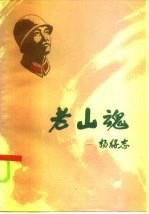 老山魂