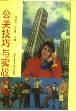 公关技巧与实战大观