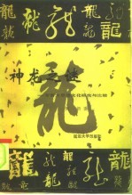 神龙之谜 东西方思想文化研究与比较