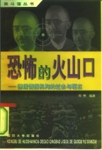 恐怖的火山口 德国情报机构的过去与现在