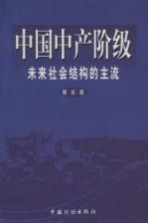 中国中产阶级 未来社会结构的主流